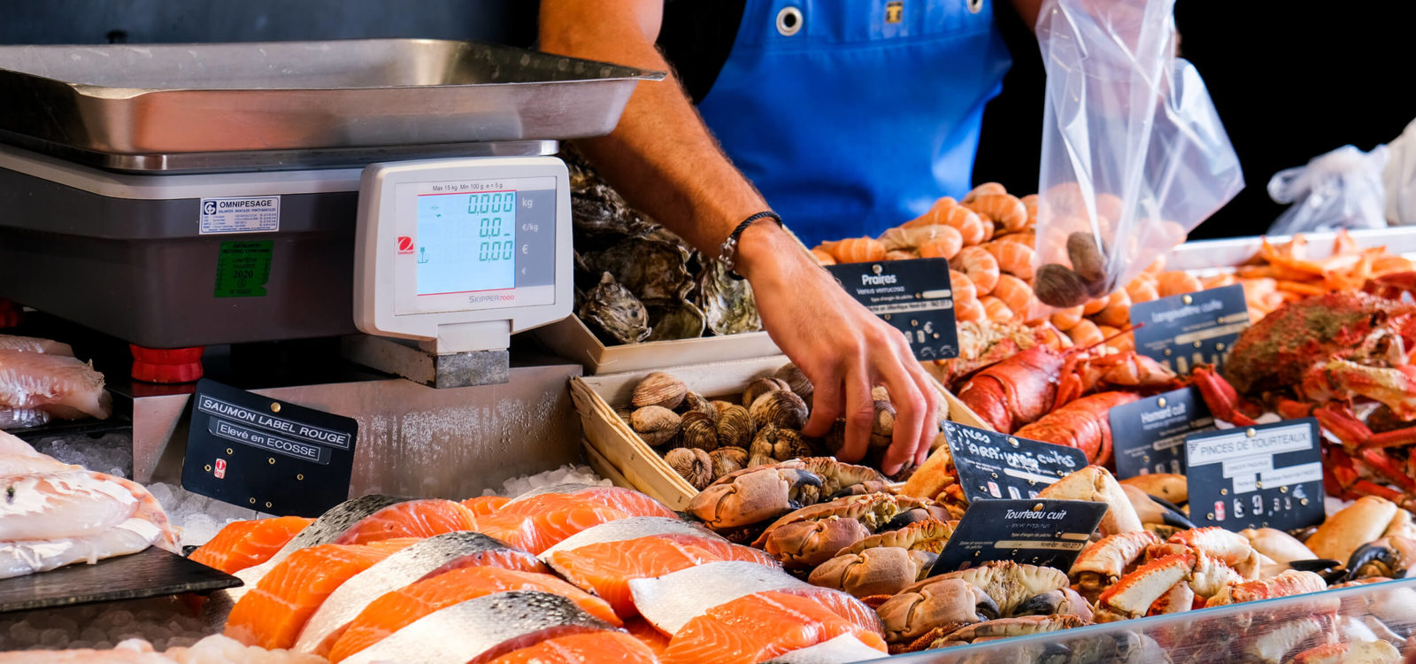 Des poissons, coquillages et crustacés pêchés avec soin