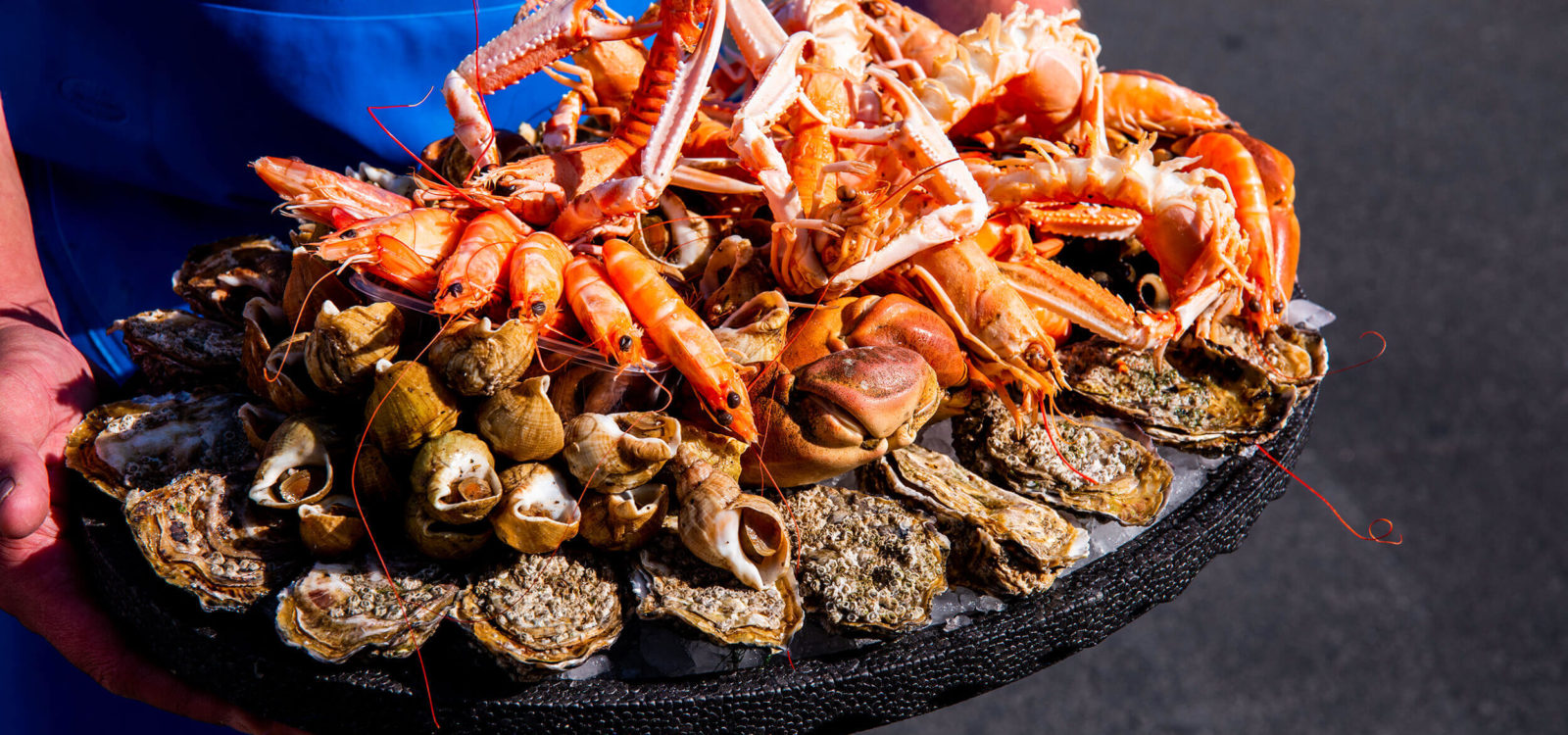 Des plateaux de fruits de mer pour tous les goûts