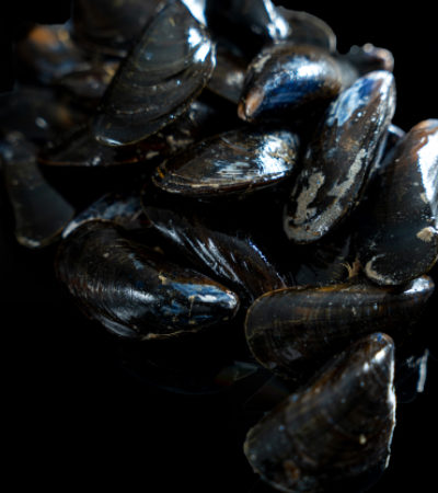 Moules de Bouchot