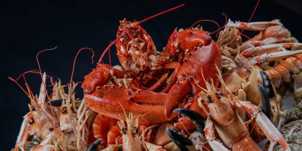 Plateaux de fruits de mer à emporter à Caen