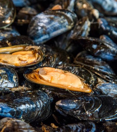 picture Combien de moules par personne prévoir ?