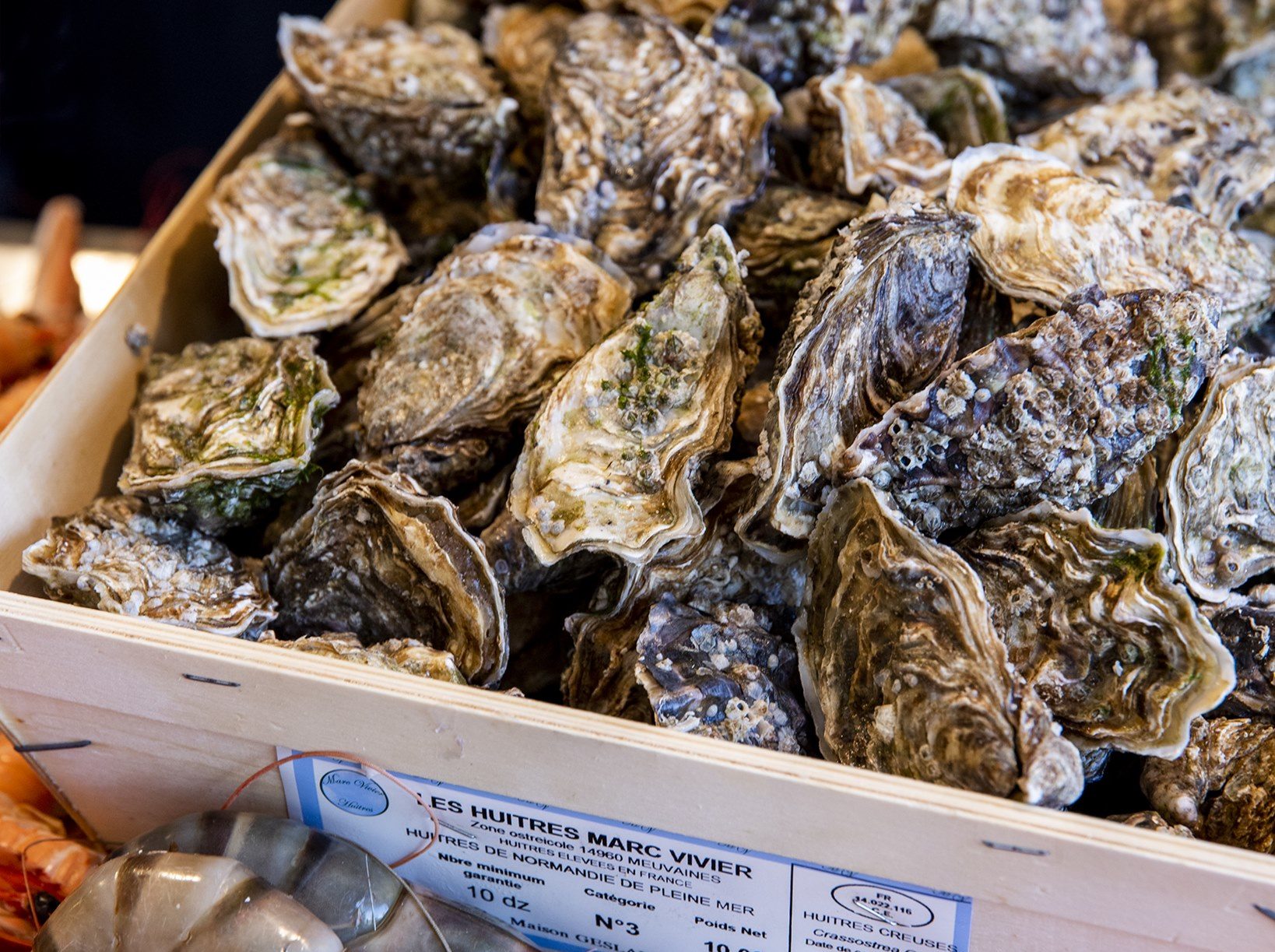Quel fruit de mer lorsque l