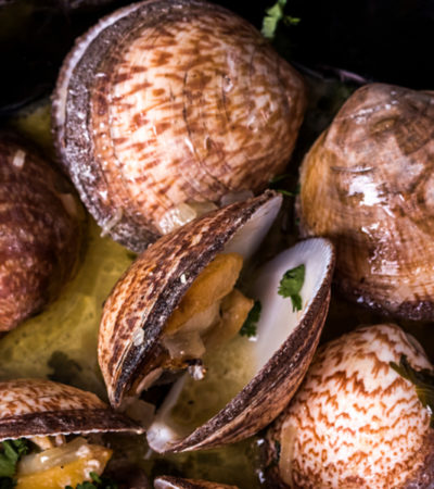 picture Les amandes de mer : le coquillage en vogue à goûter de toute urgence !