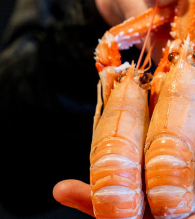 picture Notre recette de ravioles de langoustines