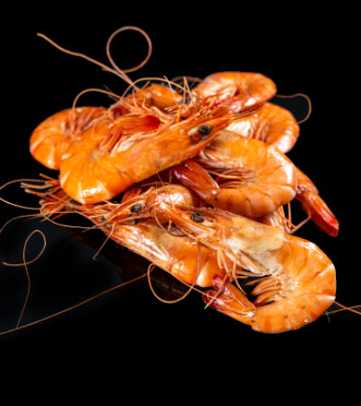 Crevettes de Madagascar