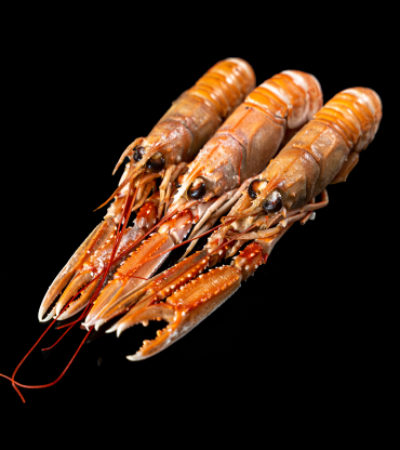 Langoustines cuites