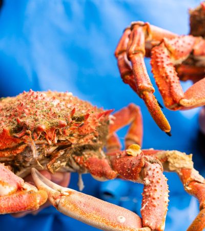 picture Comment cuire l’araignée de mer : des conseils pour une cuisson parfaite