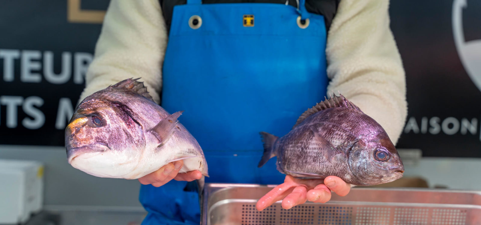 Découvrez chaque semaine notre selection de poisson